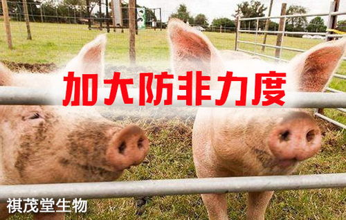筑牢生物安全屏障 抓實關鍵措施，防控重大疫病，保障畜牧漁業飼料銷售穩定